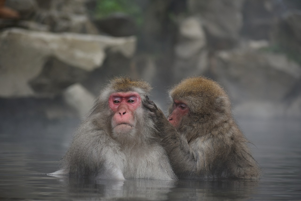 【健康の話】温泉の魅力！温泉の効用と正しい入り方とは！？